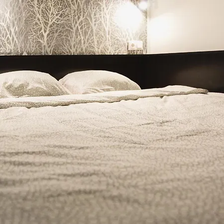 Cozy Dowtown Lofts