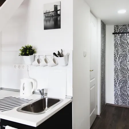 아파트 Cozy Dowtown Lofts 부다페스트