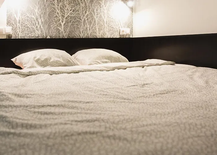 Cozy Dowtown Lofts